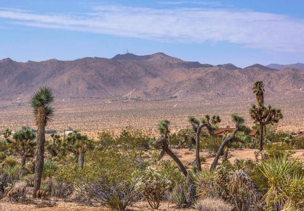 Jt Cottage Yucca Valley Esterno foto