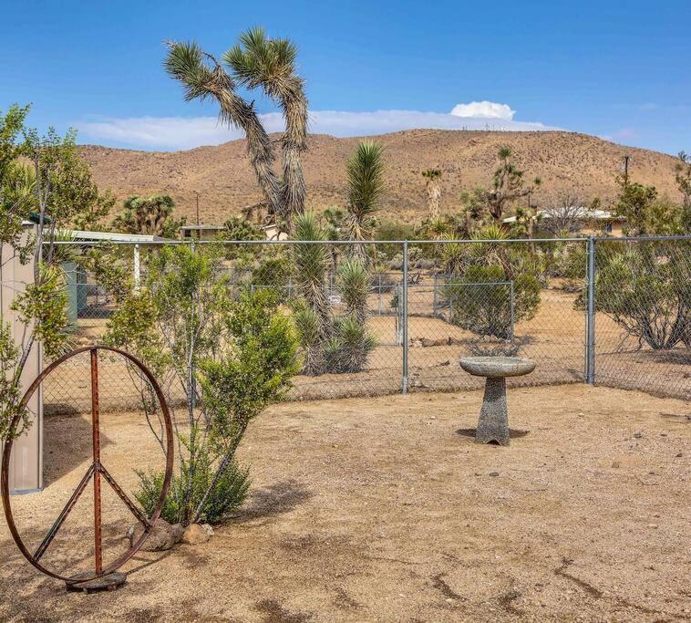 Jt Cottage Yucca Valley Esterno foto